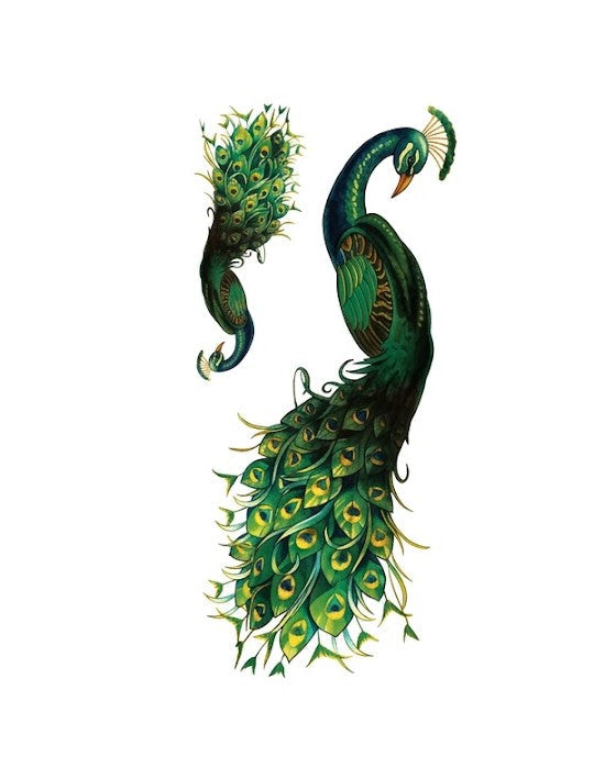 Realistic Peacock Temporary Tattoo FAKE TATTOOS