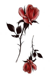 Flores rosadas/rojas