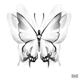 Realistic Flying Butterfly Temporary Tattoo Fake Tattoos