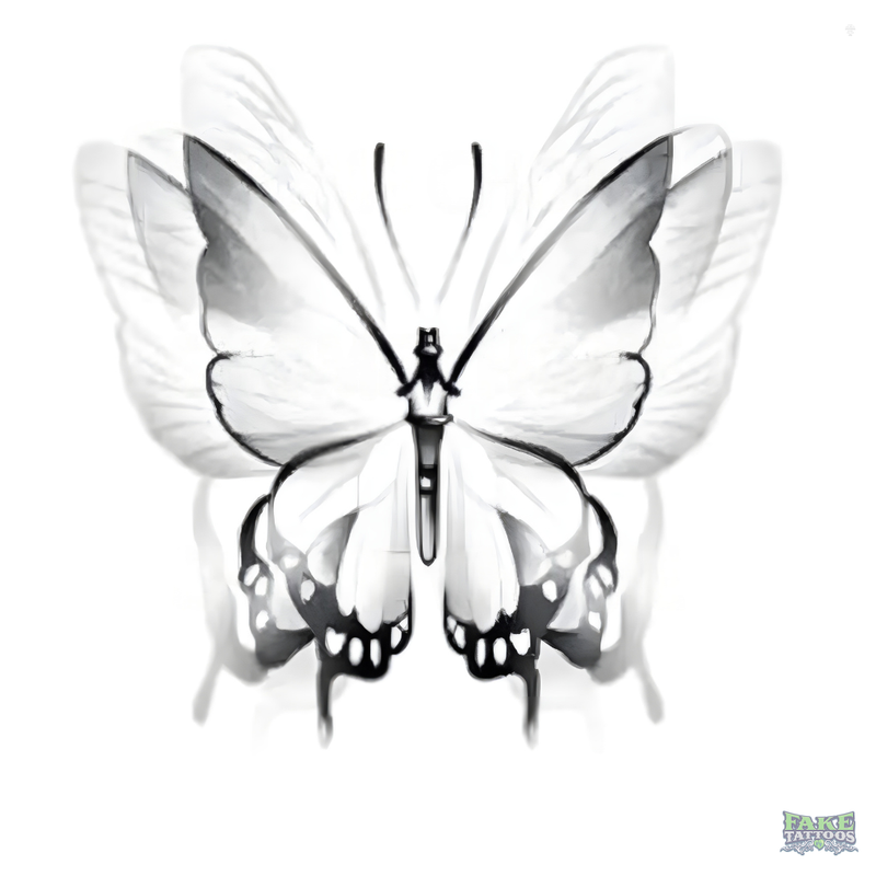 Golden Wing Butterfly