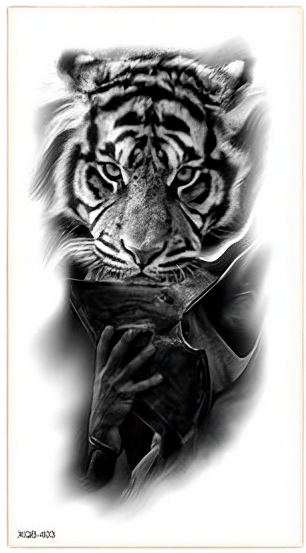 Tiger Tattoo FAKE TATTOOS